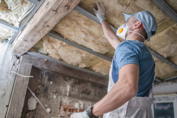 Best Local Insulation Services  in Eaton, CO