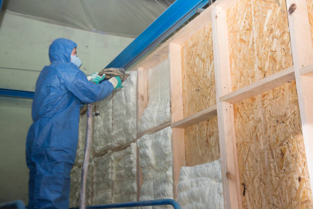 Best Cellulose Insulation  in Eaton, CO