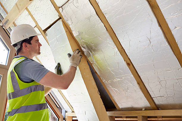 Best Insulation Replacement Services  in Eaton, CO